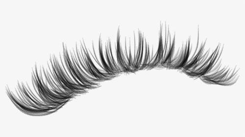 #lashes #makeup #lash #eyelashes #eyeliner #fakelashes - Long Eyelashes For Editing, HD Png Download, Free Download