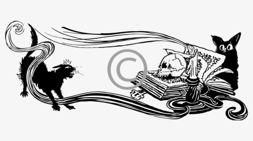 A Spooky Scene With A Cat And Bat, A Skull On An Open - Book Of Shadows Blank Pages, HD Png Download, Free Download