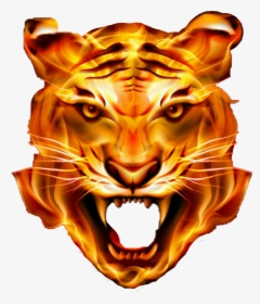 Lion Tiger Fire - Angry Tiger Face Png, Transparent Png, Free Download