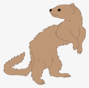 Clipart Ferret, HD Png Download, Free Download