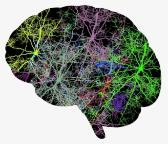 Lightning Brain Prismatic - Portable Network Graphics, HD Png Download, Free Download