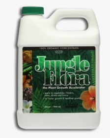 Jungle Flora Product Shot - Seaweed, HD Png Download, Free Download
