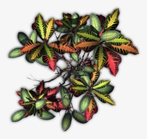 Jungle Plants Png, Transparent Png, Free Download