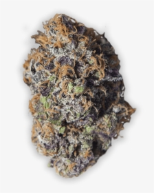 Grandaddy Purple Cannabis In Reno - Fruit, HD Png Download, Free Download
