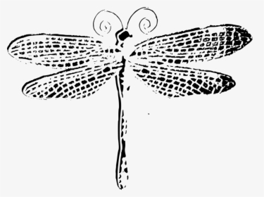 Symmetry,monochrome Photography,tree - Dragonfly Black And White Drawing, HD Png Download, Free Download