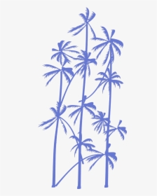 Palmtree-vector - Silhouette, HD Png Download, Free Download