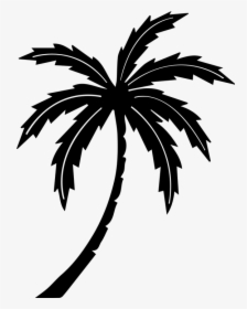 Black Palm Tree Png, Transparent Png, Free Download