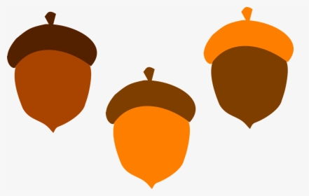 Acorns Clipart, HD Png Download, Free Download