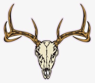 Deer Skull Decal Png - Deer Head Deer Skull Vector, Transparent Png, Free Download
