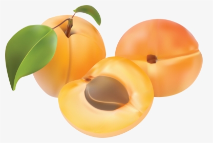 Peaches Png Image - Abricot Fruit Clipart, Transparent Png, Free Download