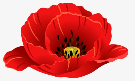 Patriotic Images, Art Images, Poppies, Clip Art, Art - Single Poppy Transparent Background, HD Png Download, Free Download