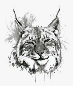 Watercolor Bobcat Painting, HD Png Download, Free Download