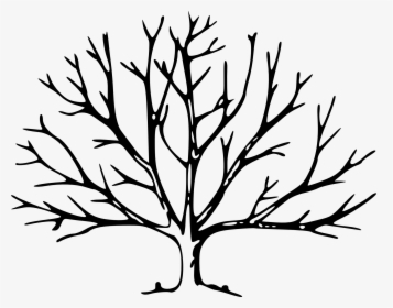 Change Your Life - Tree With No Leaves Drawing, HD Png Download, Free Download