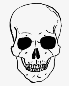 Skulls Png Image - Skeleton Drawing Face, Transparent Png, Free Download