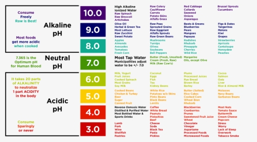 Child Urine Ph, HD Png Download, Free Download