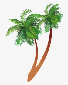 Free Download Cartoon Palm Tree Clipart Coconut Palm - Transparent Background Coconut Tree Clipart, HD Png Download, Free Download