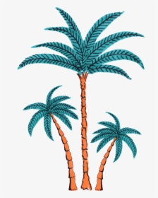 Palm Tree Dancing Sticker By Splash House - Palm Tree Gif Transparent, HD Png Download, Free Download