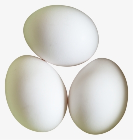 Three White Eggs Png Image - Egg Png, Transparent Png, Free Download
