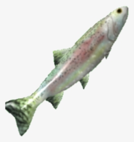 Unofficial Tradelands Fandom - Coho, HD Png Download, Free Download