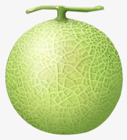 Melon Png Image - Melon Png, Transparent Png, Free Download