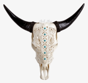 Carved Cow Skull // Xl Horns - Bull, HD Png Download, Free Download