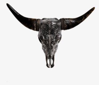 Skull Variant Skull Only - Bull, HD Png Download, Free Download