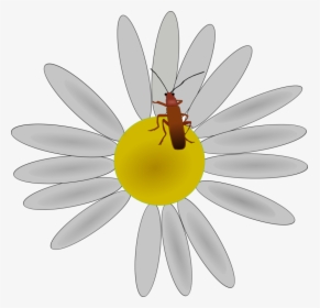 Pollen,flower,honey Bee - Clipart Bug On A Flower, HD Png Download, Free Download