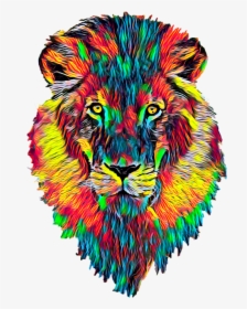 Color Full Lion Face, HD Png Download, Free Download