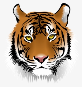 Free Tiger Clip Art, HD Png Download, Free Download