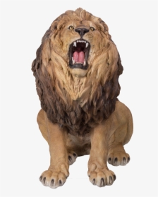 Masai Lion , Png Download, Transparent Png, Free Download