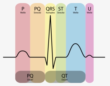 Ecg In Medical Term, HD Png Download, Free Download