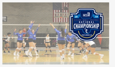 Volleyball, HD Png Download, Free Download