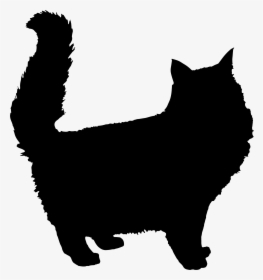 Fluffy Cat Silhouette Icons Png - Maine Coon Cat Silhouette, Transparent Png, Free Download