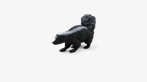 Companion Dog, HD Png Download, Free Download