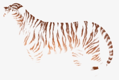 Zebra, HD Png Download, Free Download