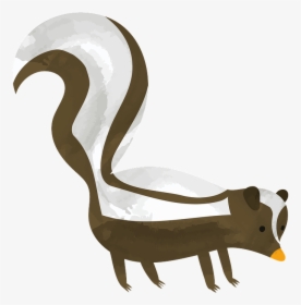 Striped Skunk, HD Png Download, Free Download
