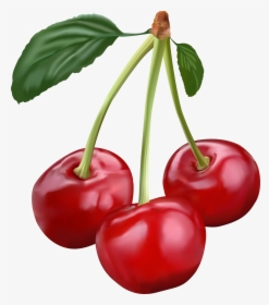 Cherry Png Clip Art, Transparent Png, Free Download