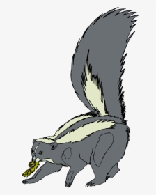 Skunk Clip Art - Baby Skunk Fu Baby Skunk Drawing, HD Png Download, Free Download
