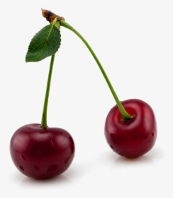 Cherries Png Image - Cherry Png Free, Transparent Png, Free Download
