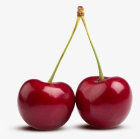 Cherries Png Image - Cherry Png, Transparent Png, Free Download