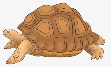 Aldabra Giant Tortoise Clipart, HD Png Download, Free Download