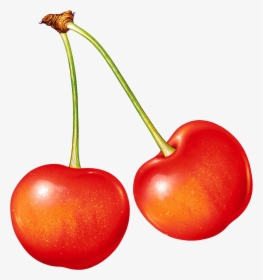Cherries Png Image - Transparent Background Cherry Icon, Png Download, Free Download