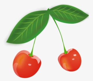 Cherries - Cherries Cartoon Transparent, HD Png Download, Free Download