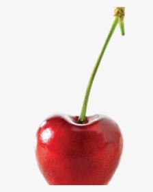 Cherry, HD Png Download, Free Download