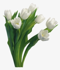 Bouquet With Transparent Background, HD Png Download, Free Download