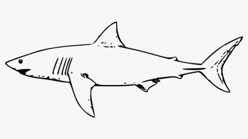 Great White Shark Shark Jaws Drawing Clip Art - Great White Shark Outline, HD Png Download, Free Download