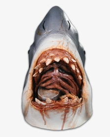 Jaws Shark Steven Spielberg, HD Png Download, Free Download