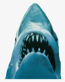Jaws Poster, HD Png Download - kindpng
