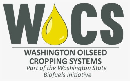 Wocs Final Logo Outline - U Systems, HD Png Download, Free Download