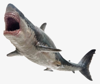 #shark #monster #killer #鲨鱼 #jaws #megalodon - Pnso Megalodon Toy, HD Png Download, Free Download